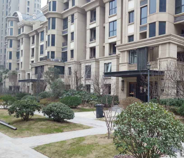 白麻案例