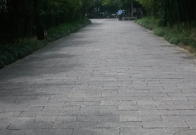 高湖石公园地板